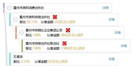 雷州英利最新爆料,揭秘项目进展与未来规划  第2张